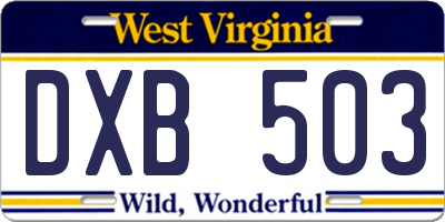 WV license plate DXB503