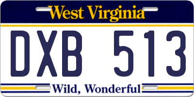 WV license plate DXB513