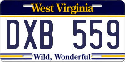WV license plate DXB559