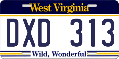 WV license plate DXD313
