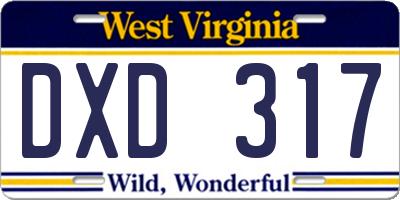 WV license plate DXD317
