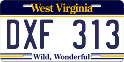 WV license plate DXF313