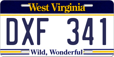 WV license plate DXF341
