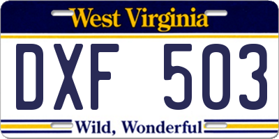 WV license plate DXF503