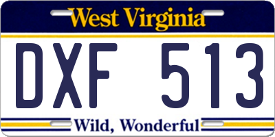 WV license plate DXF513
