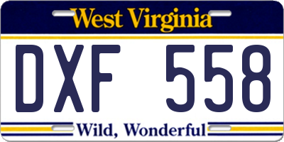 WV license plate DXF558