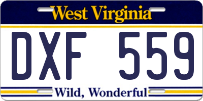 WV license plate DXF559