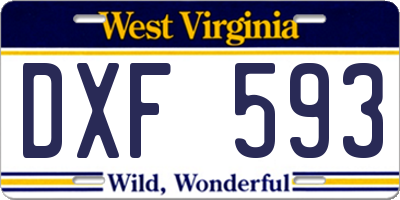 WV license plate DXF593