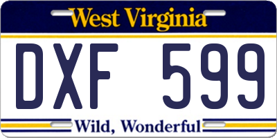 WV license plate DXF599