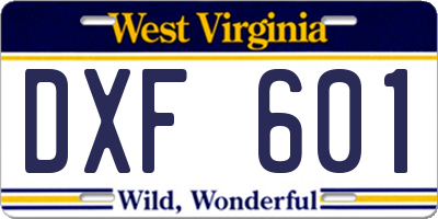 WV license plate DXF601
