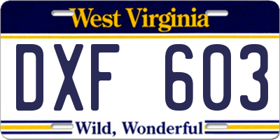 WV license plate DXF603