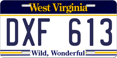 WV license plate DXF613