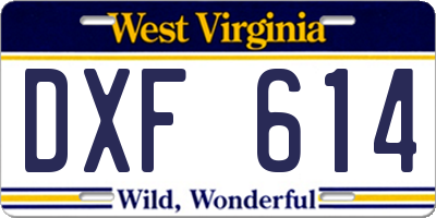 WV license plate DXF614