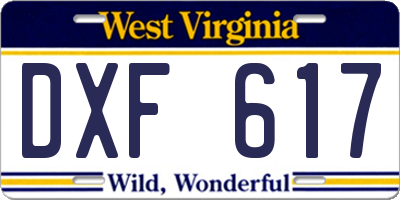 WV license plate DXF617