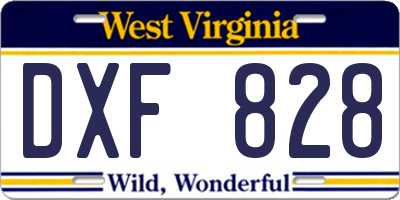 WV license plate DXF828
