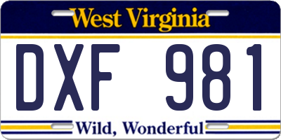 WV license plate DXF981