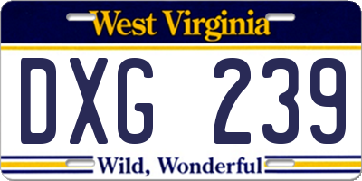WV license plate DXG239