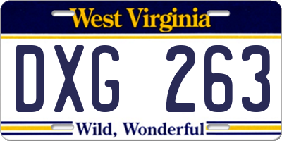 WV license plate DXG263