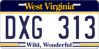 WV license plate DXG313