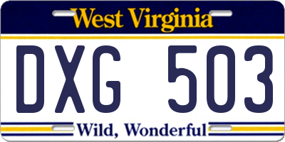 WV license plate DXG503