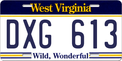 WV license plate DXG613