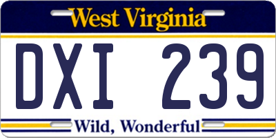 WV license plate DXI239
