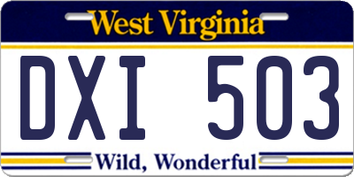 WV license plate DXI503
