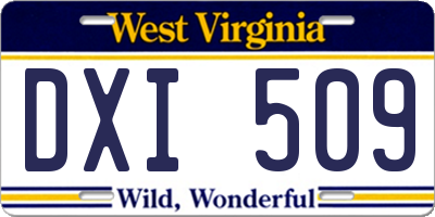 WV license plate DXI509