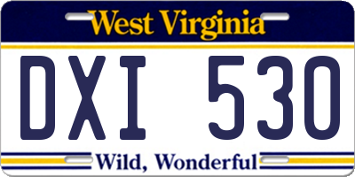 WV license plate DXI530