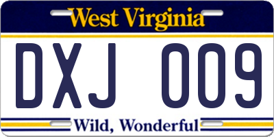WV license plate DXJ009