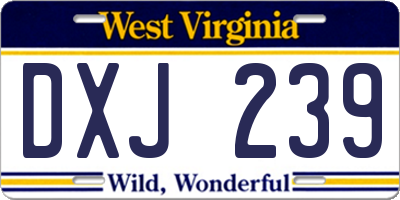 WV license plate DXJ239