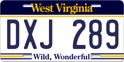 WV license plate DXJ289