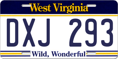 WV license plate DXJ293
