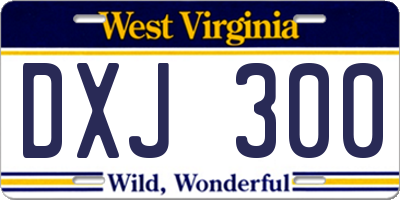 WV license plate DXJ300