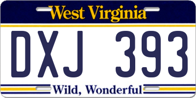 WV license plate DXJ393