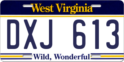 WV license plate DXJ613