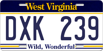 WV license plate DXK239