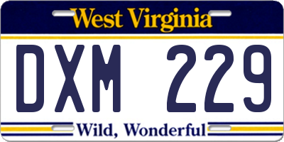 WV license plate DXM229