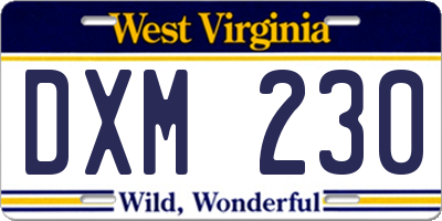 WV license plate DXM230