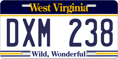 WV license plate DXM238