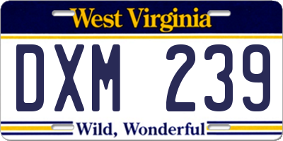 WV license plate DXM239