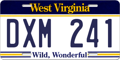 WV license plate DXM241