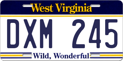 WV license plate DXM245