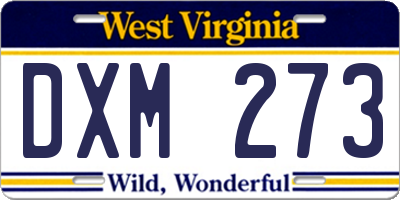 WV license plate DXM273