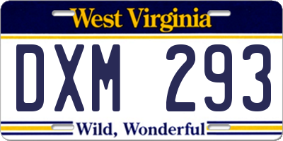 WV license plate DXM293