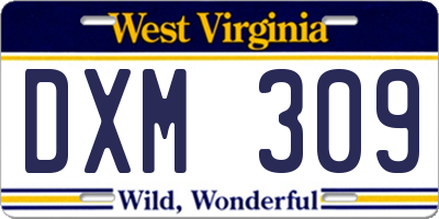 WV license plate DXM309