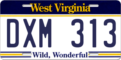 WV license plate DXM313