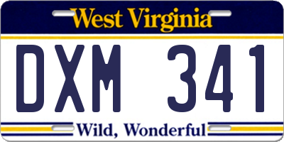 WV license plate DXM341