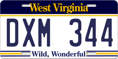 WV license plate DXM344