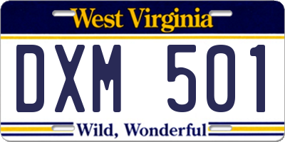 WV license plate DXM501